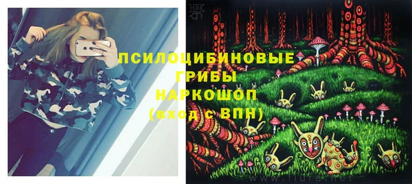 spice Армянск