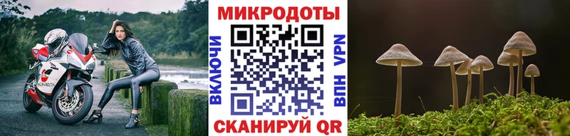 Псилоцибиновые грибы Cubensis  кракен зеркало  Уржум 